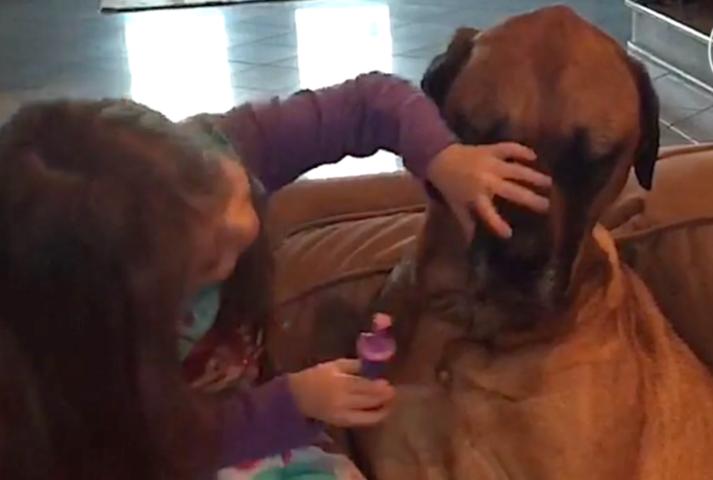Little Girl Makes Sure Dog Is Healthy